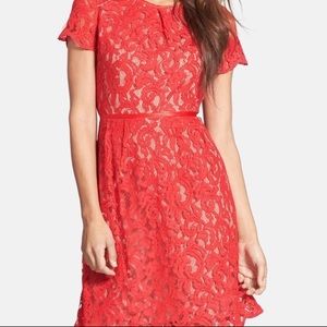 EUC Adrianna Papell Lace Cocktail Dress